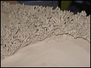 p3175725