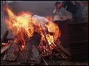 pa287408
