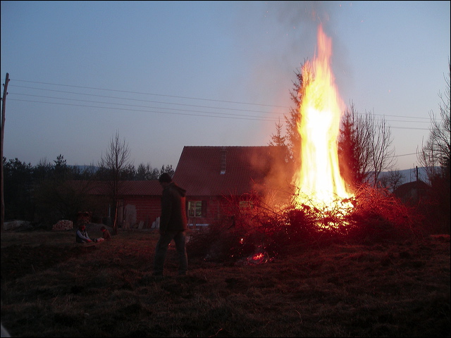p2285436.jpg