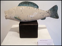 rene_de_kort__belgium